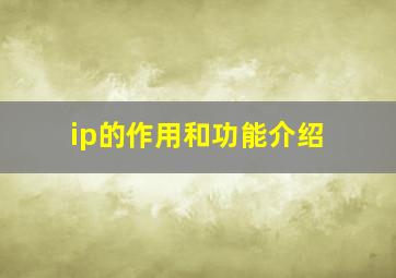 ip的作用和功能介绍