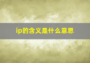 ip的含义是什么意思