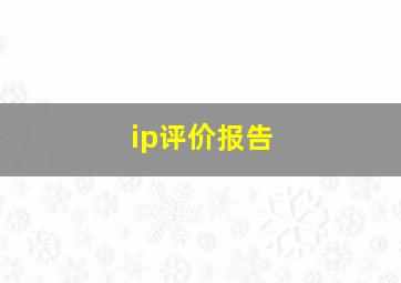 ip评价报告