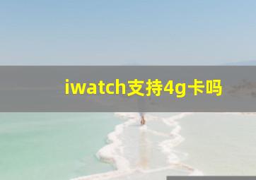 iwatch支持4g卡吗