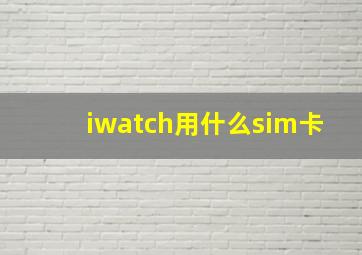 iwatch用什么sim卡