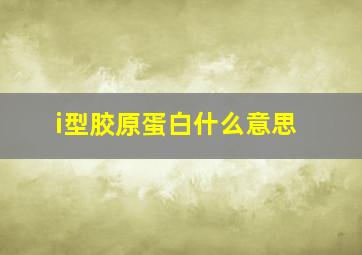 i型胶原蛋白什么意思