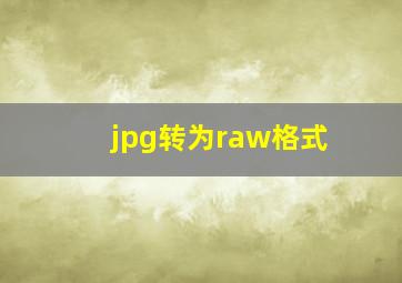 jpg转为raw格式