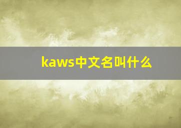 kaws中文名叫什么