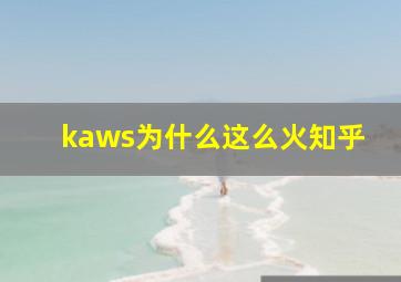 kaws为什么这么火知乎