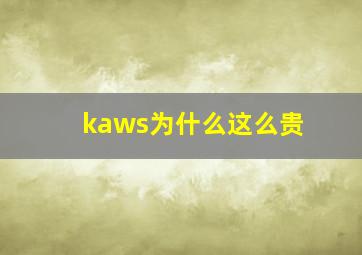 kaws为什么这么贵