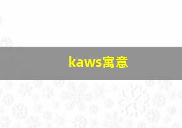 kaws寓意