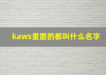 kaws里面的都叫什么名字