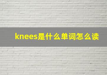 knees是什么单词怎么读