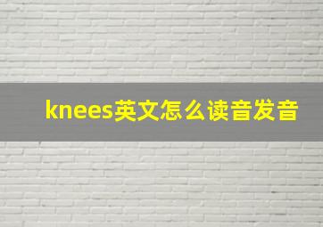 knees英文怎么读音发音