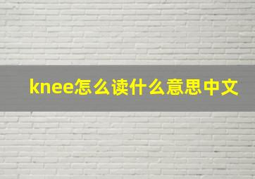 knee怎么读什么意思中文