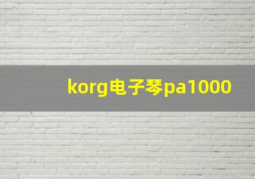 korg电子琴pa1000