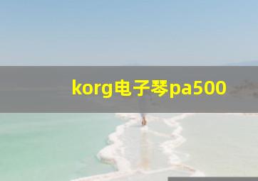 korg电子琴pa500