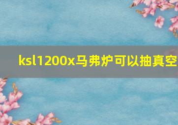 ksl1200x马弗炉可以抽真空