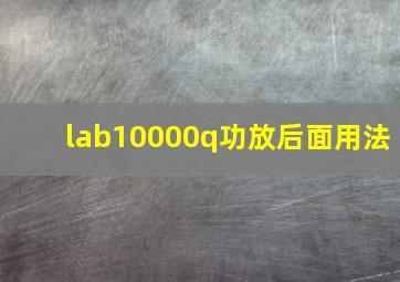 lab10000q功放后面用法