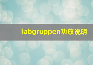 labgruppen功放说明