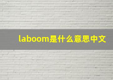 laboom是什么意思中文