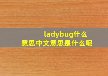 ladybug什么意思中文意思是什么呢