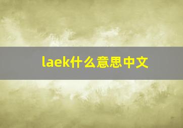 laek什么意思中文