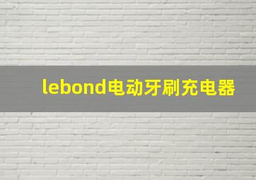 lebond电动牙刷充电器