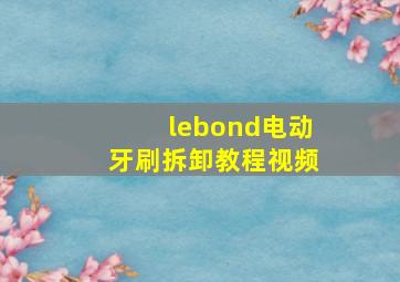 lebond电动牙刷拆卸教程视频