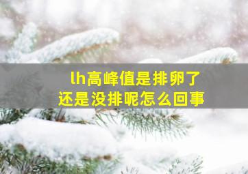 lh高峰值是排卵了还是没排呢怎么回事