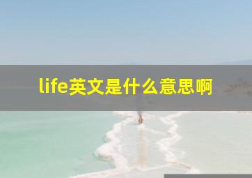 life英文是什么意思啊