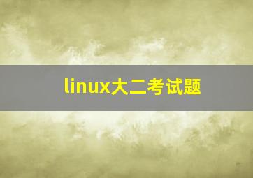 linux大二考试题