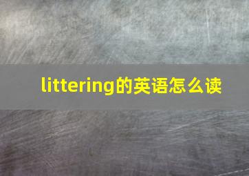 littering的英语怎么读