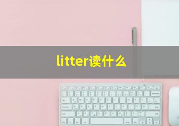 litter读什么