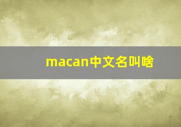 macan中文名叫啥