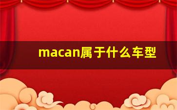 macan属于什么车型