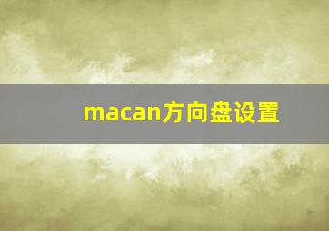 macan方向盘设置