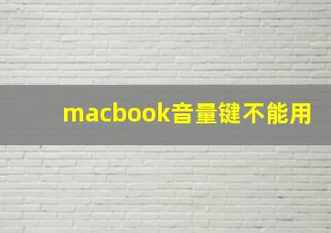 macbook音量键不能用