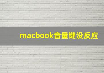 macbook音量键没反应