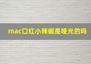 mac口红小辣椒是哑光的吗