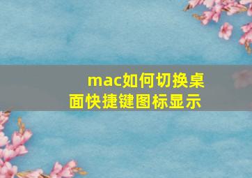 mac如何切换桌面快捷键图标显示