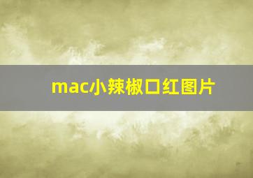 mac小辣椒口红图片