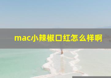 mac小辣椒口红怎么样啊