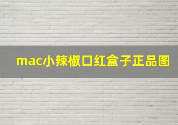 mac小辣椒口红盒子正品图