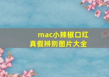 mac小辣椒口红真假辨别图片大全