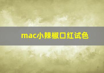 mac小辣椒口红试色