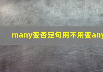 many变否定句用不用变any