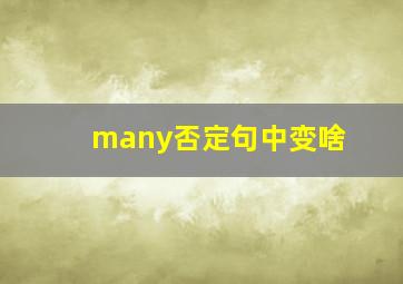 many否定句中变啥