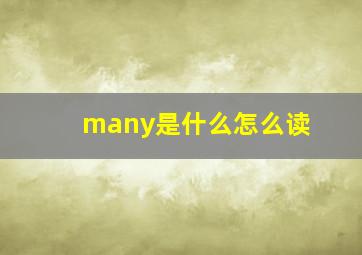 many是什么怎么读