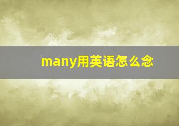 many用英语怎么念