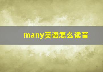 many英语怎么读音