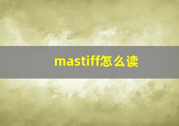 mastiff怎么读