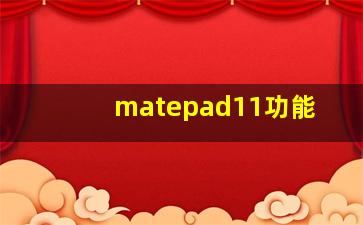 matepad11功能