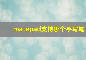 matepad支持哪个手写笔